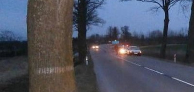 Автомобиль врезался в дерево в Ростовской области – погибли два человека