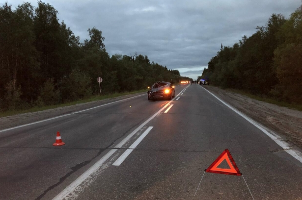 На Ямале пьяный водитель насмерть сбил подростка на велосипеде (2)