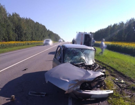 Два человека погибли в ДТП под Тамбовом (2)