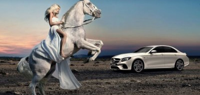 АВИЛОН. Самое время быть на коне!