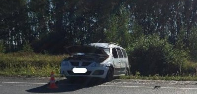 Беременная многодетная мать погибла в ДТП под Рязанью