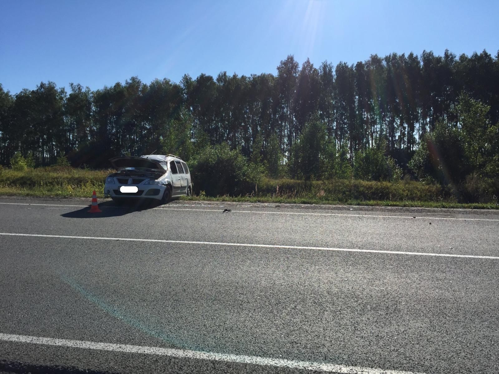 Беременная многодетная мать погибла в ДТП под Рязанью (2)