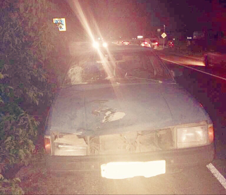 В Уфимском районе «Москвич» насмерть сбил пенсионера (2)