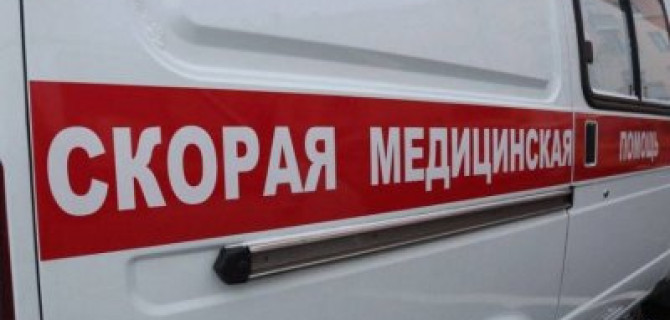 В Кировском районе многодетная семья попала в ДТП из-за кабана – погиб ребенок