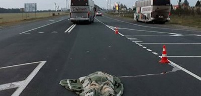Автобус насмерть сбил женщину в Рязанской области