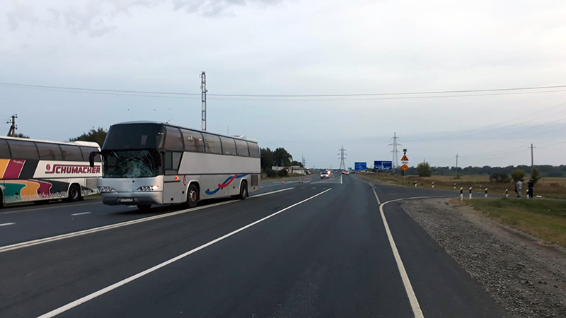 Автобус насмерть сбил женщину в Рязанской области (3)