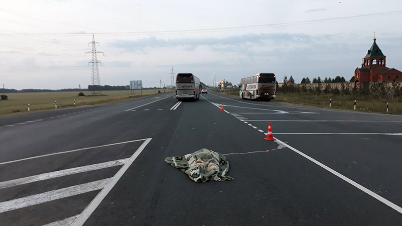 Автобус насмерть сбил женщину в Рязанской области (2)
