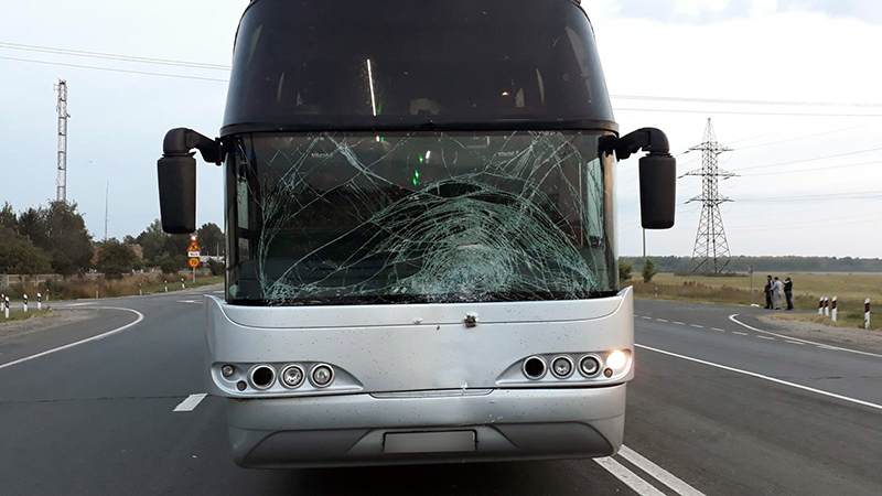 Автобус насмерть сбил женщину в Рязанской области (1)