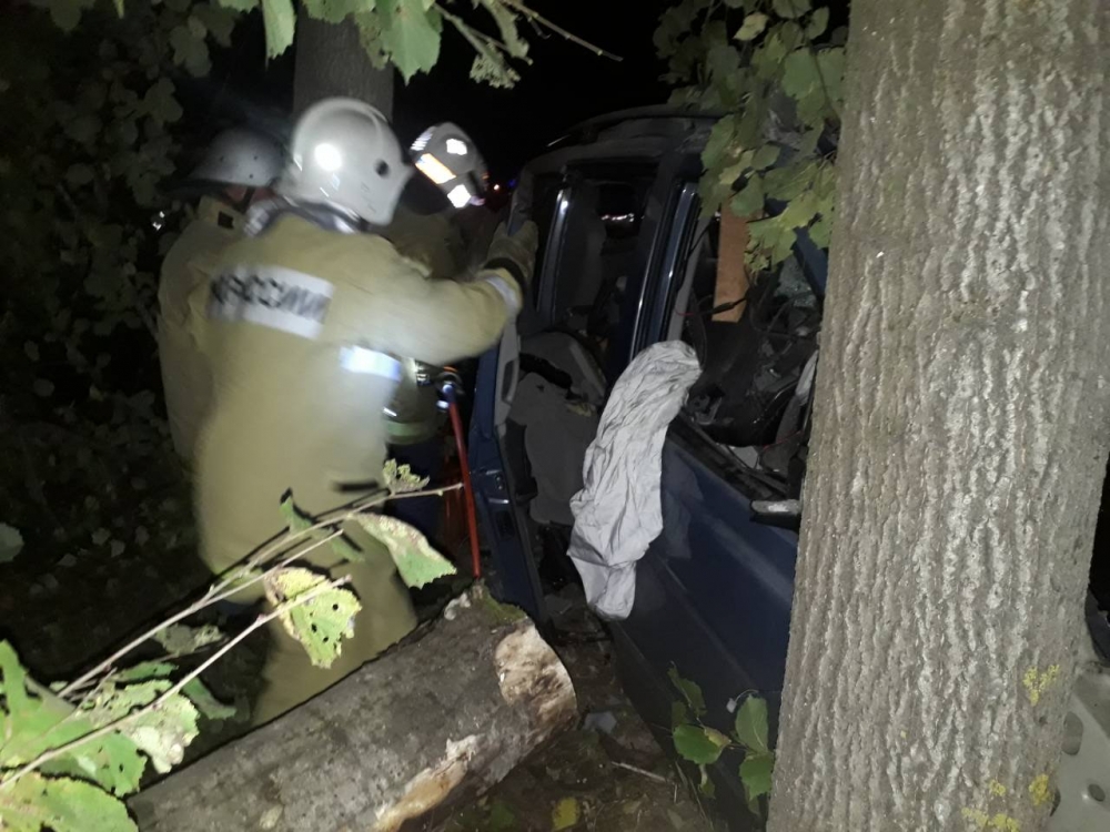 Под Калугой в ДТП с грузовиком погибли три человека (2)