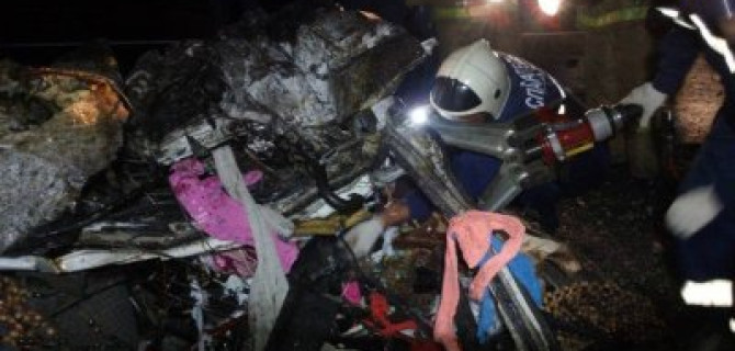 В ДТП с лосем в Марий Эл погибли 2 человека