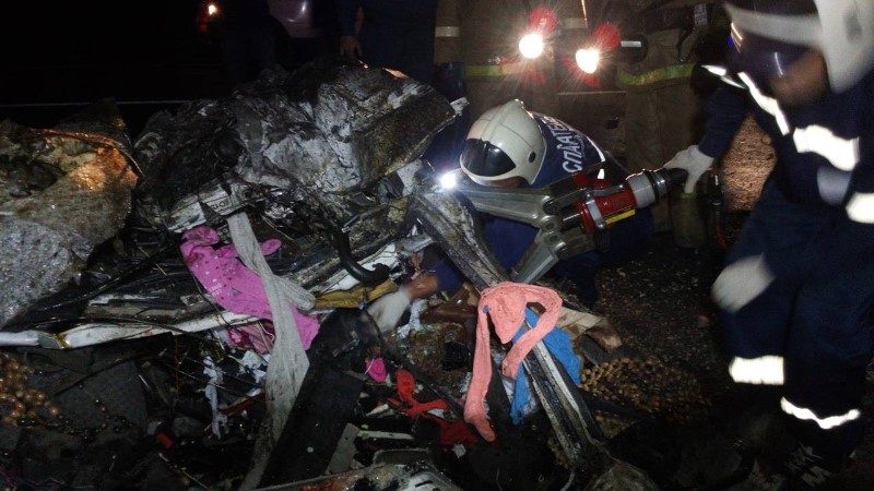 В ДТП с лосем в Марий Эл погибли 2 человека (2)