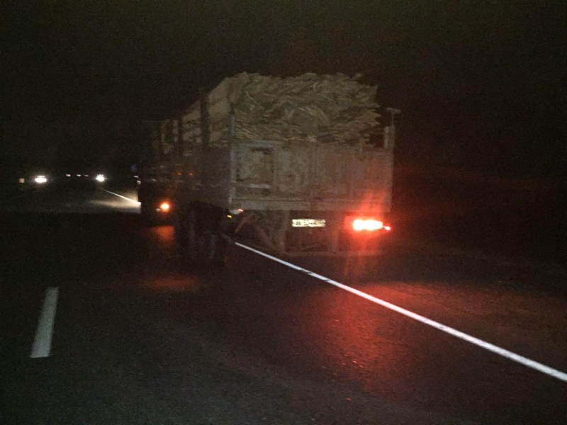 Пять человек пострадали в ДТП с КамАЗом в Рязанской области (2)