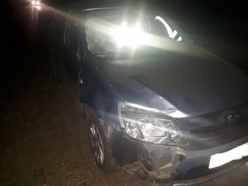 В Сызранском районе автомобиль насмерть сбил 8-летнего ребенка