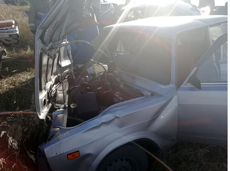 Пять человек, включая ребенка, пострадали в ДТП под Бийском (3)