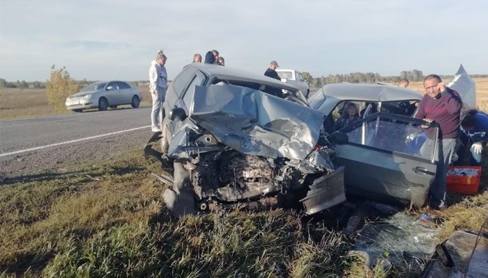 Пять человек, включая ребенка, пострадали в ДТП под Бийском (1)