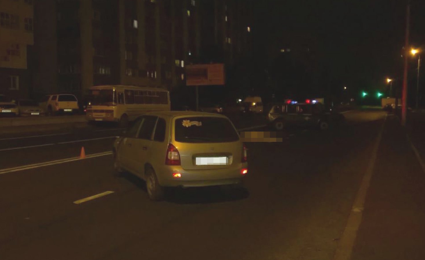 В Уфе насмерть сбили женщину на переходе (3)