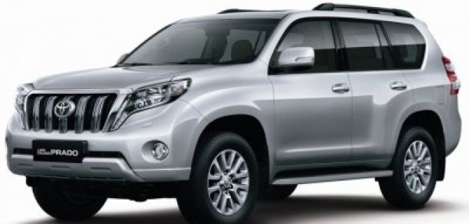 Сколько всего в России дизельных автомобилей и каких моделей больше