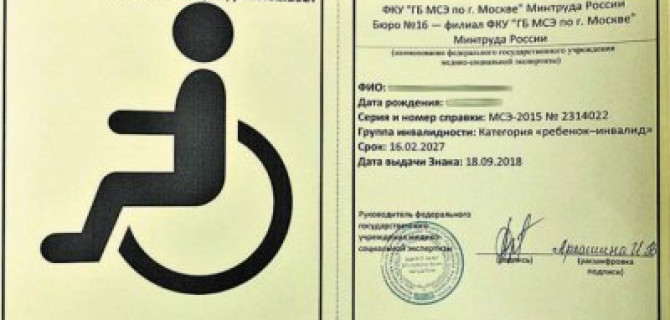 В России введены новые опознавательные знаки для перевозящих инвалидов авто