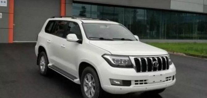 У китайских мастеров автоклонирования новая жертва