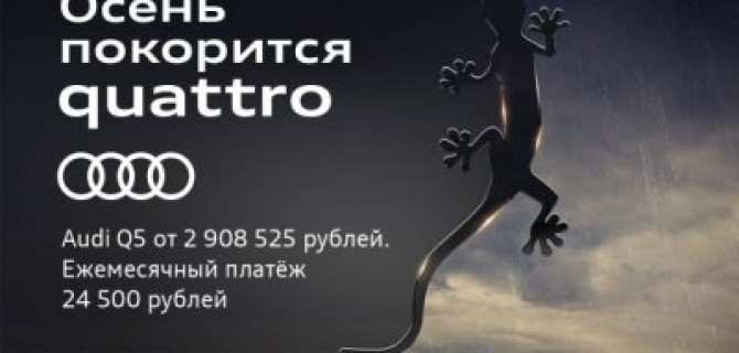 Осень покорится quattro