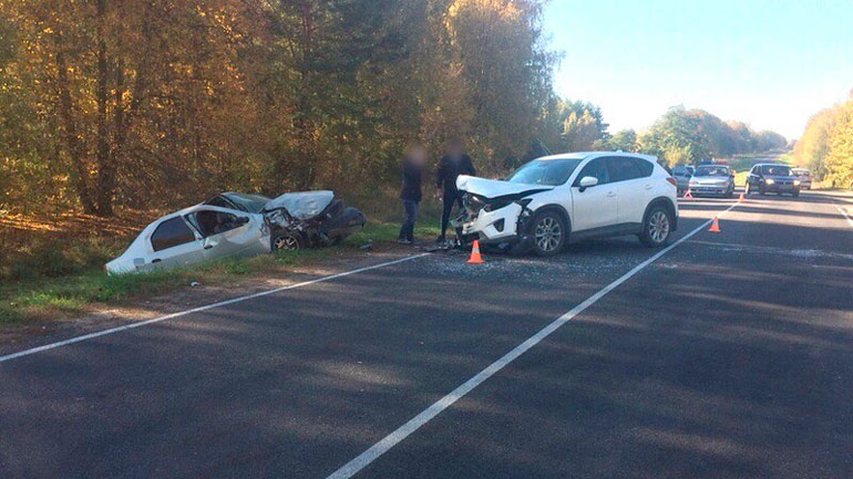 2-летняя девочка погибла в ДТП в Брянской области