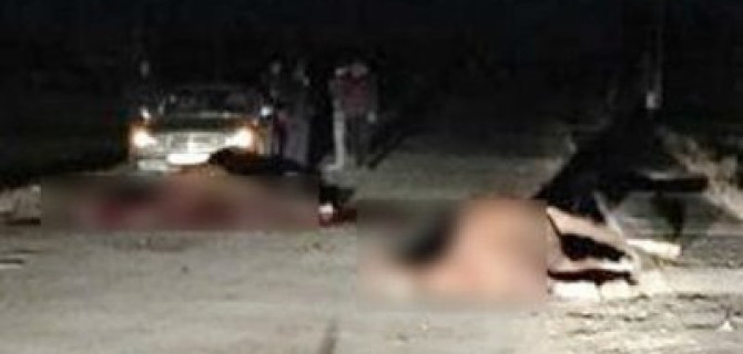 Под Омском водитель насмерть сбил двух лошадей