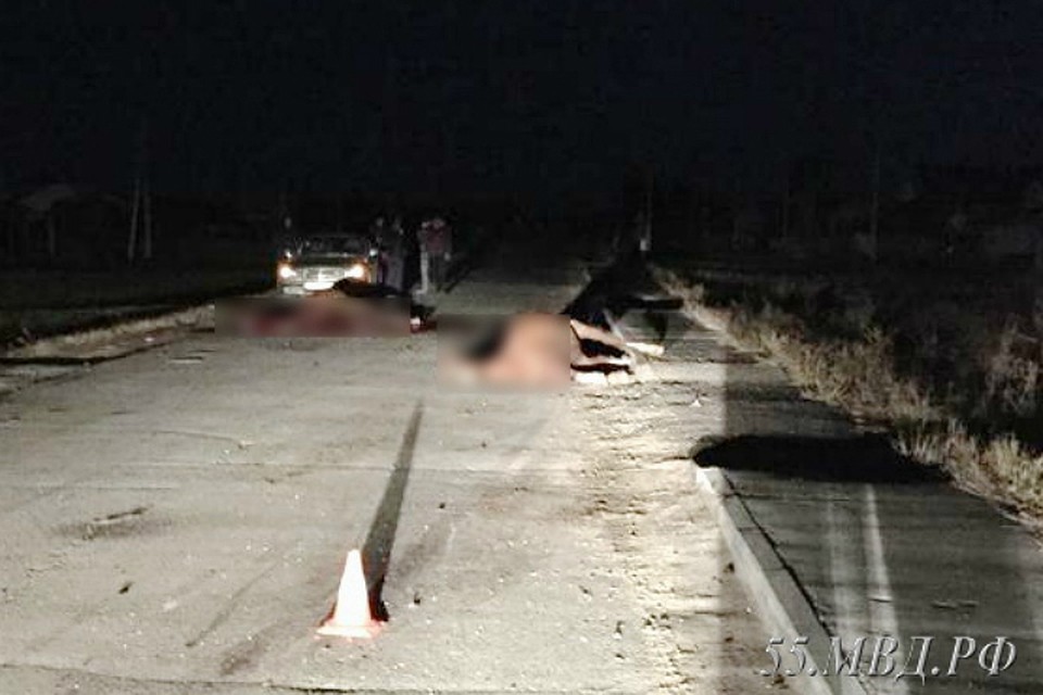 Под Омском водитель насмерть сбил двух лошадей (2)