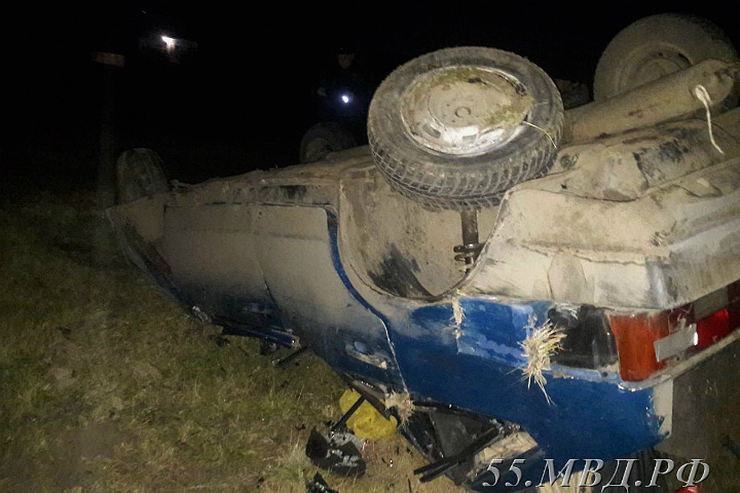 Под Омском водитель насмерть сбил двух лошадей (1)