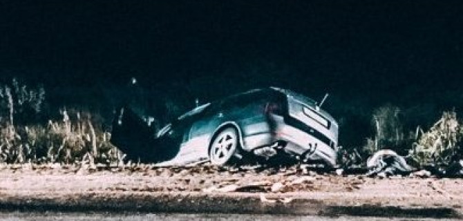 Под Мгой автомобиль съехал в кювет – пассажирка захлебнулась