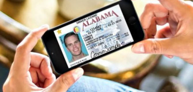 В ГИБДД РФ одобрили переход на электронные «права»