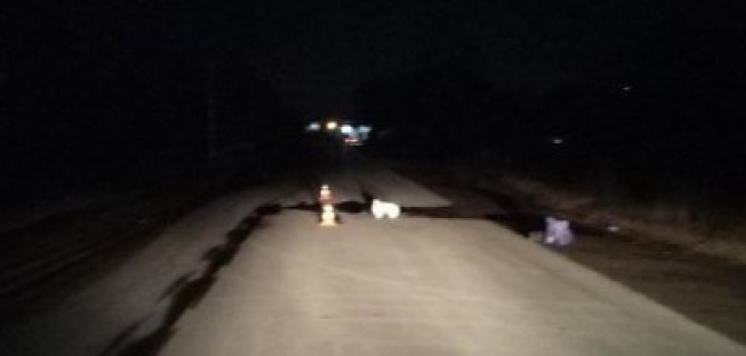 В Оренбурге водитель насмерть сбил человека и скрылся