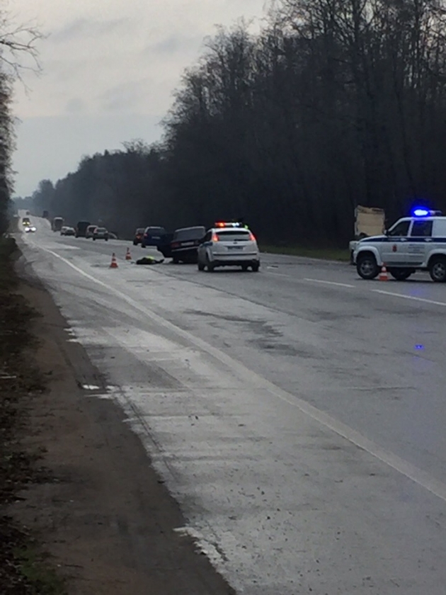 В ДТП в Кингисеппе погиб человек