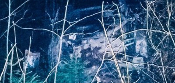 В Ленобласти иномарка врезалась в дерево – водитель погиб