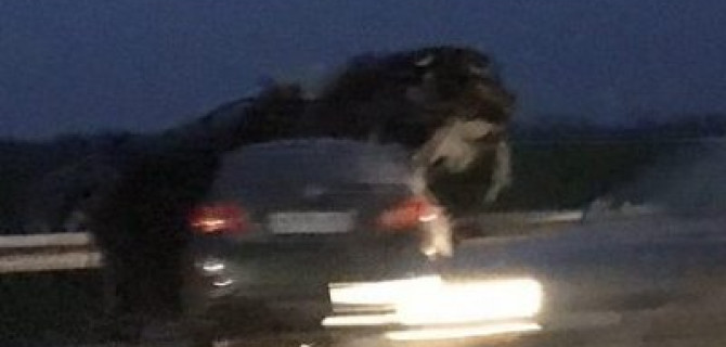 Три человека погибли в ДТП в Краснодарском крае