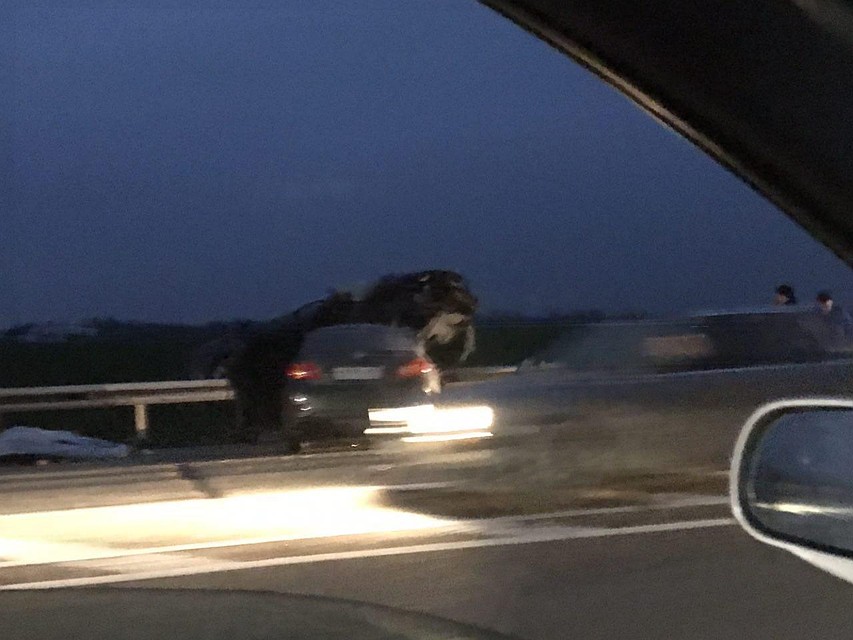 Три человека погибли в ДТП в Краснодарском крае