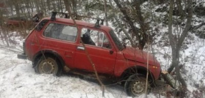 В ДТП в Карелии пострадали оба водителя