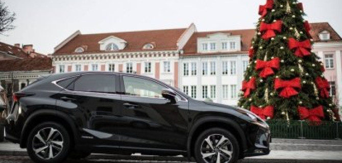 РОЛЬФ Волгоградский поздравляет Вас с Новым годом!