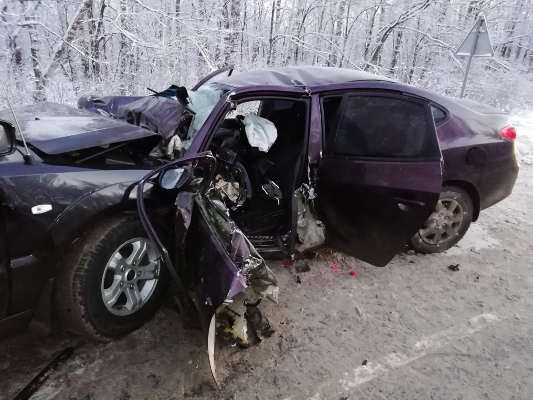 Девочка погибла в ДТП в Нижегородской области (3)