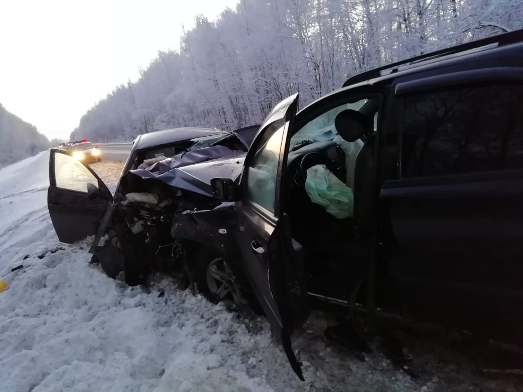 Девочка погибла в ДТП в Нижегородской области (2)
