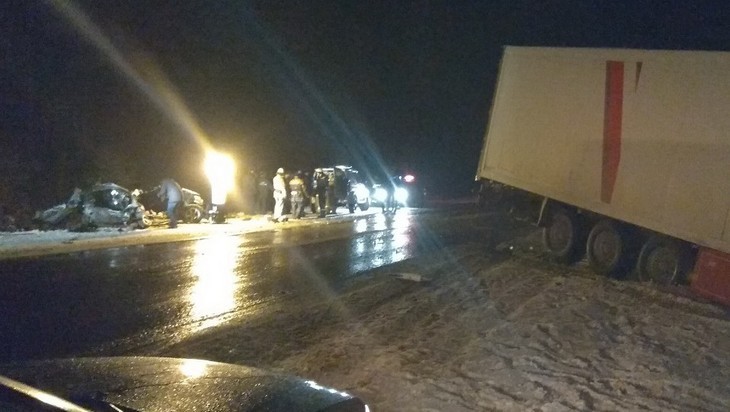 В Брянской области в ДТП с фурой погибли родители 6-летней девочки (1)