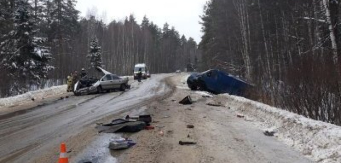 Годовалая девочка погибла в ДТП в Кулебакском районе