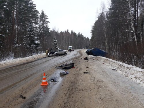 Годовалая девочка погибла в ДТП в Кулебакском районе (2)