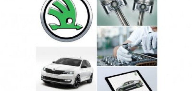 Вентус SKODA – в будние дни сервис интересней!