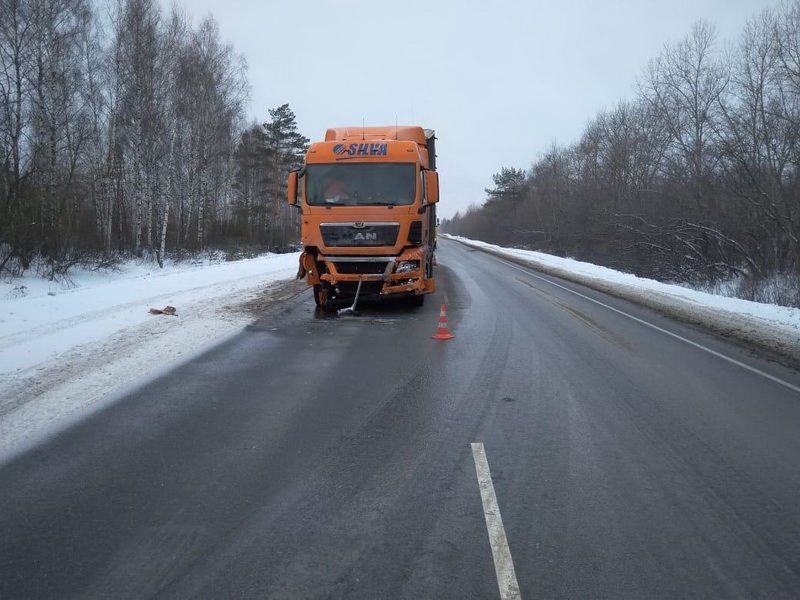 В Сасовском районе иномарка столкнулась с грузовиком – пострадал человек (1)