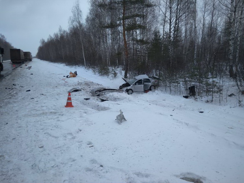 В Сасовском районе иномарка столкнулась с грузовиком – пострадал человек (2)