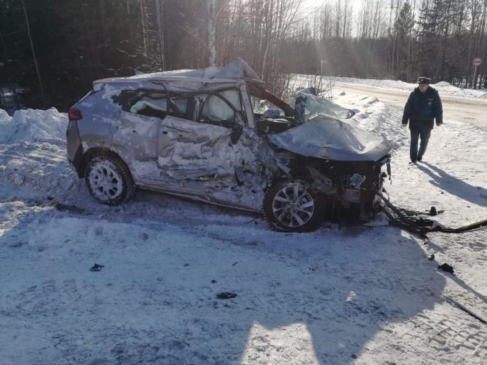 В ДТП с фурой под Качканаром погиб человек (2)