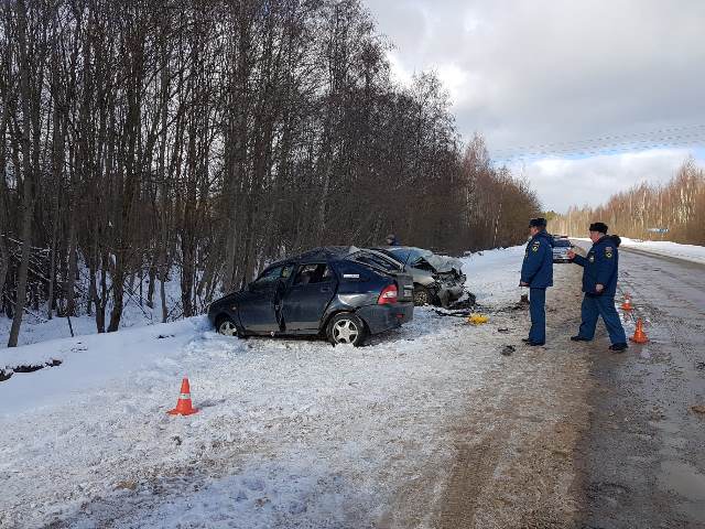 В ДТП в Рамешковском районе Тверской области погиб человек (2)