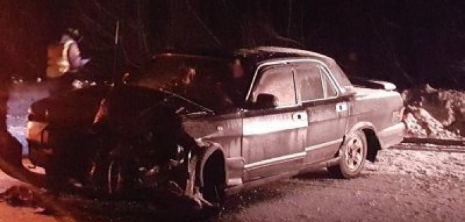 Женщина и двое детей пострадали в ДТП под Тулой