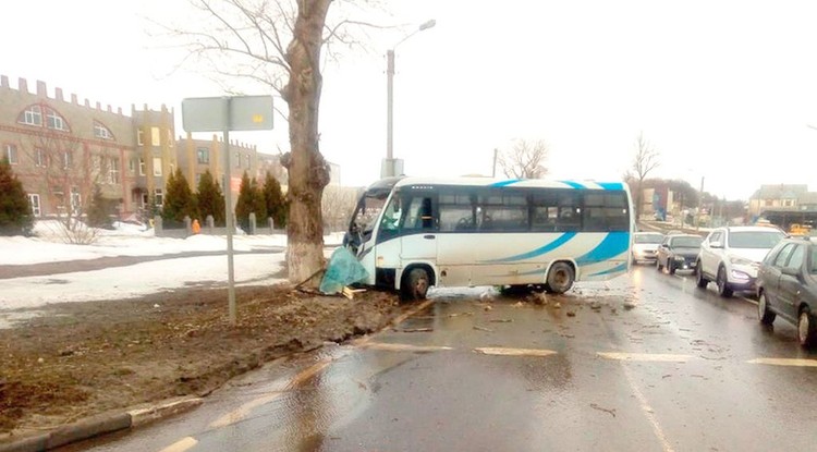 Маршрутка с пассажирами врезалась в дерево в Белгородской обрасти (2)