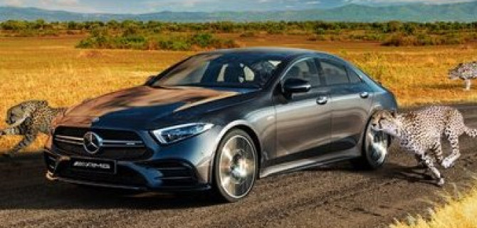 АВИЛОН. Неважно, где Вы!